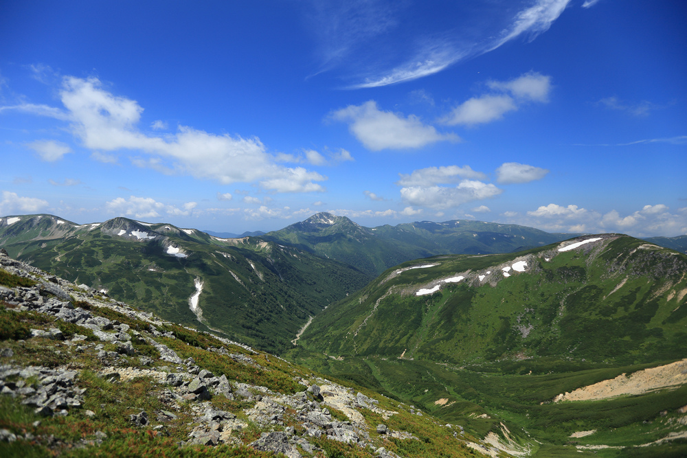 IMG_8517.jpg