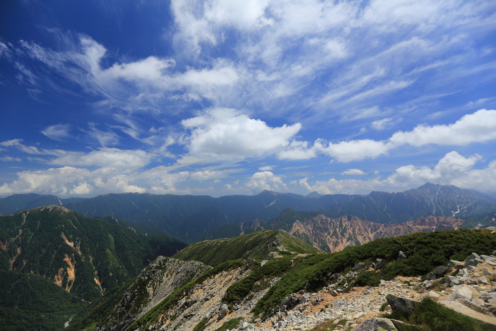IMG_8542.jpg
