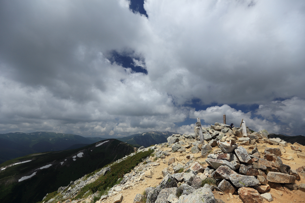 IMG_8555.jpg