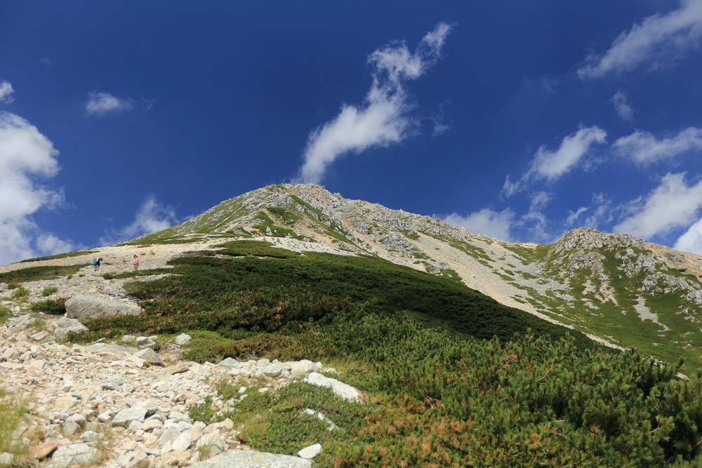 IMG_8601.jpg