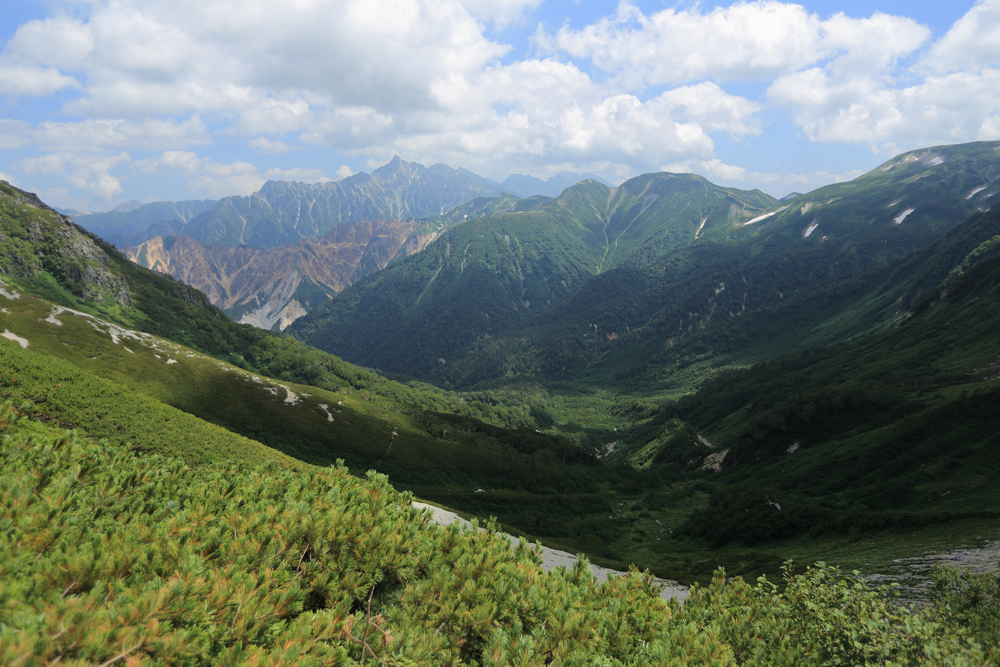 IMG_8596.jpg