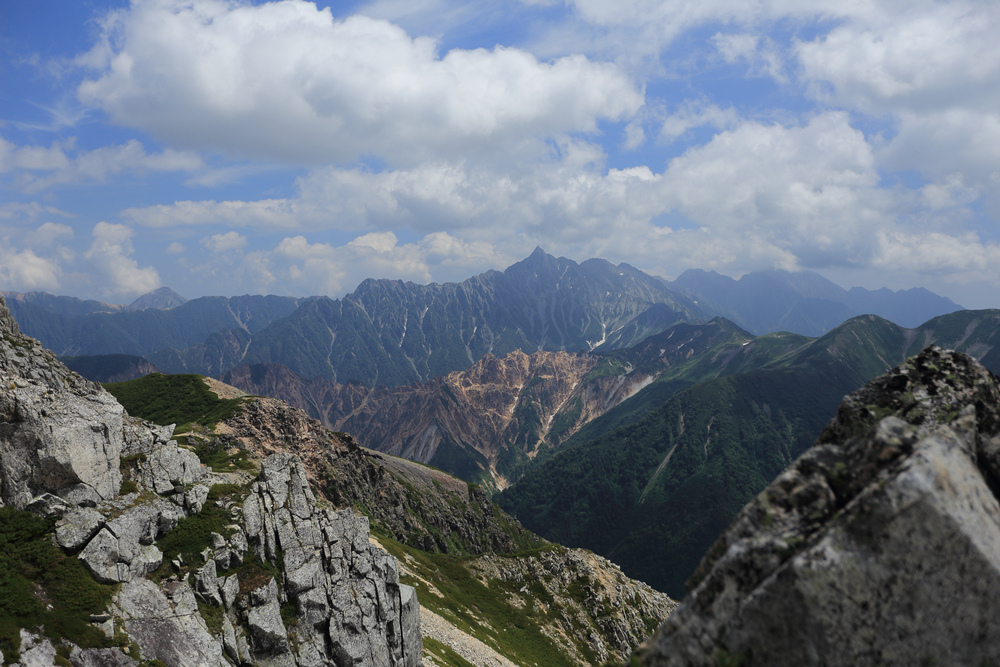 IMG_8583.jpg