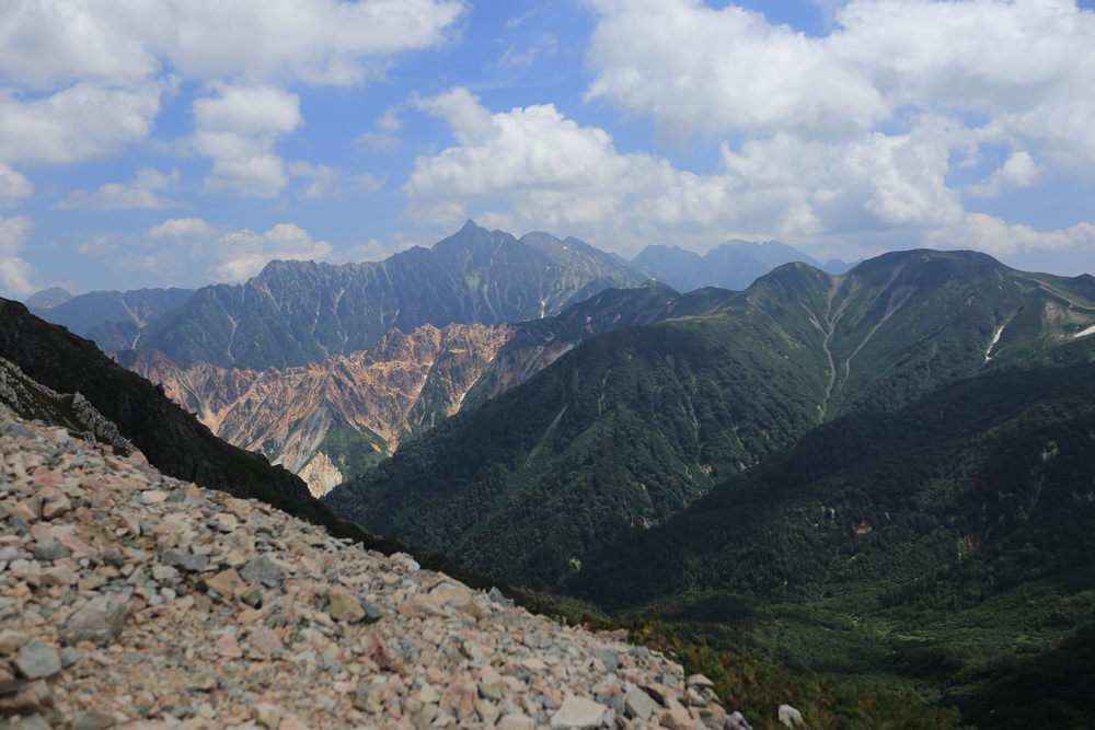 IMG_8592.jpg