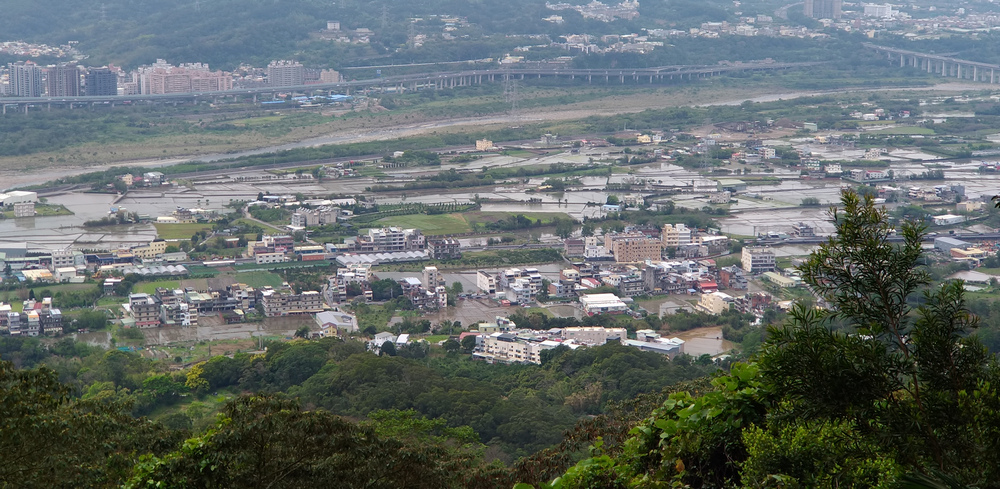 DSCF1019-1.jpg