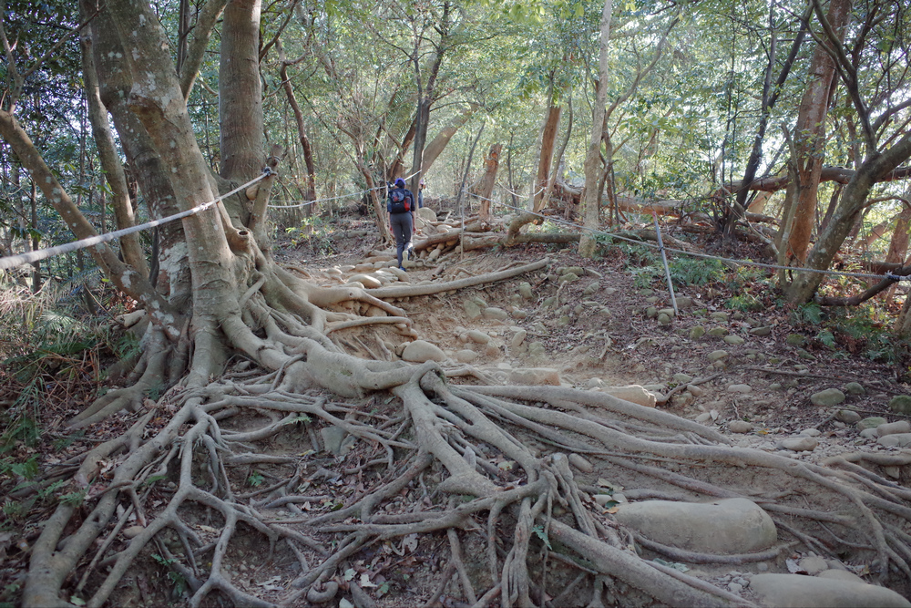 R0041246.jpg R0041246.jpg