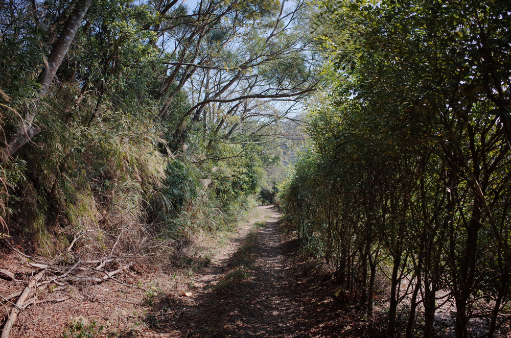 R0041287.jpg R0041287.jpg