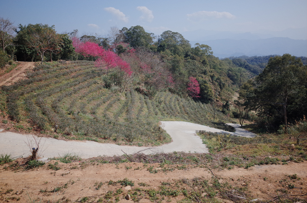 R0041314.jpg R0041314.jpg