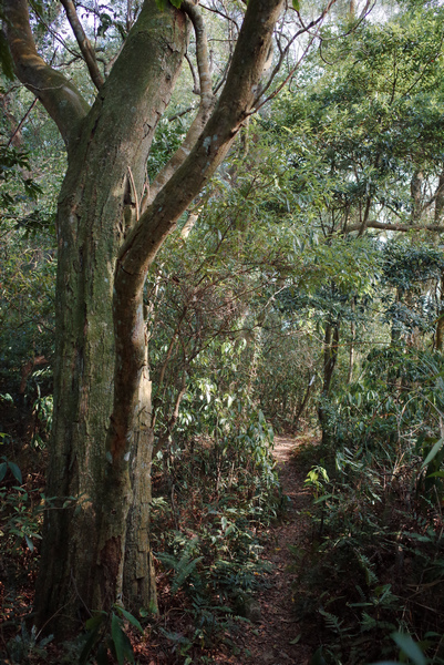 R0041340.jpg R0041340.jpg