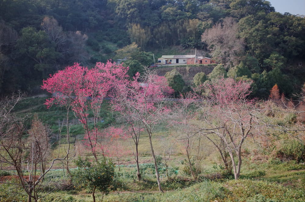 R0041364.jpg R0041364.jpg