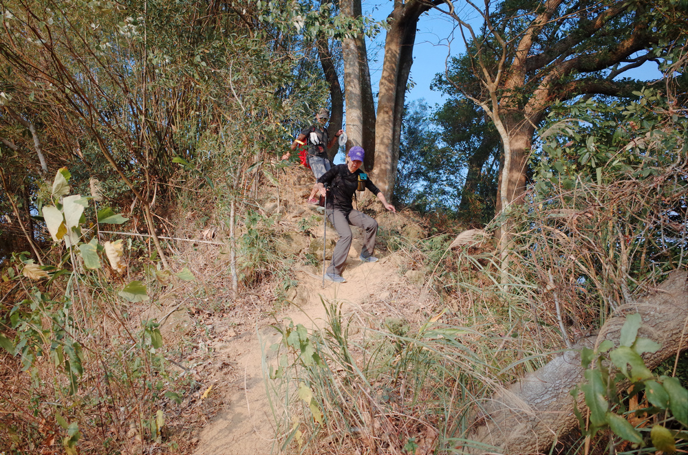 R0041385.jpg
