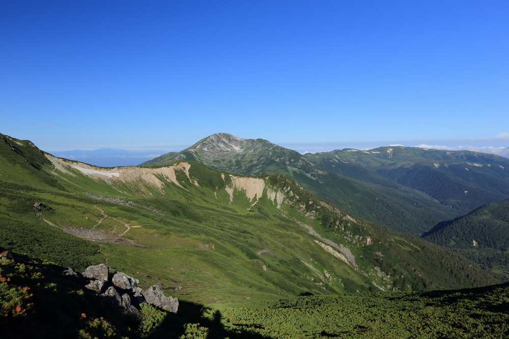 IMG_8659.jpg