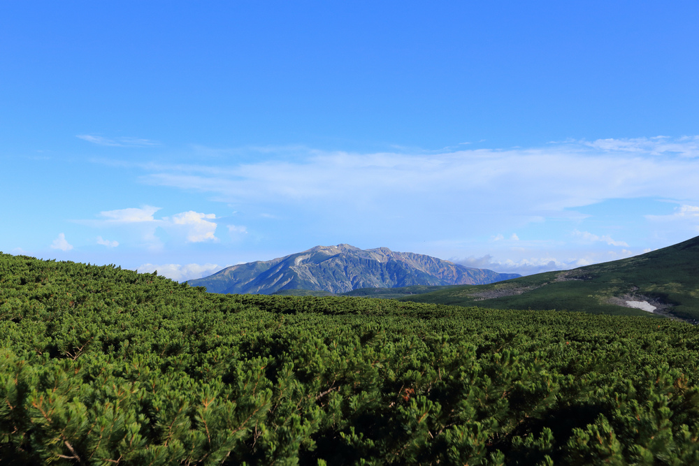 IMG_8656.jpg
