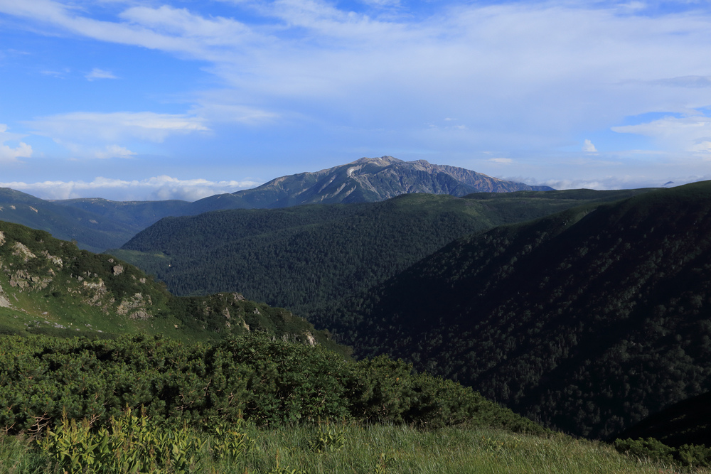 IMG_8666.jpg