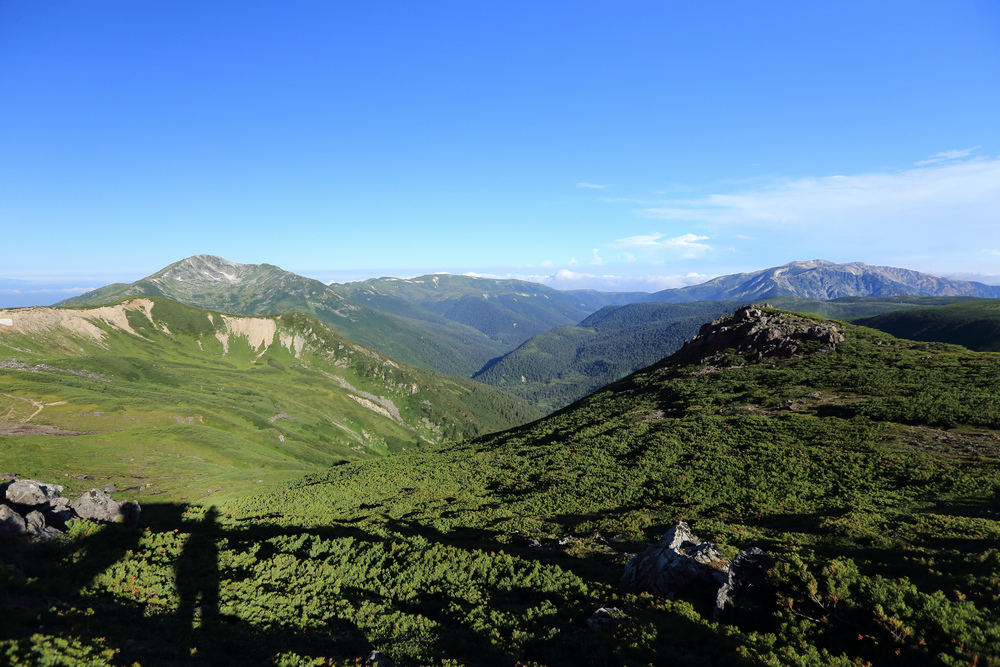 IMG_8660.jpg