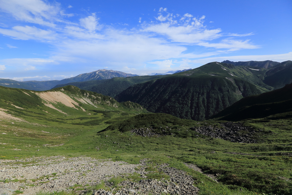 IMG_8670.jpg