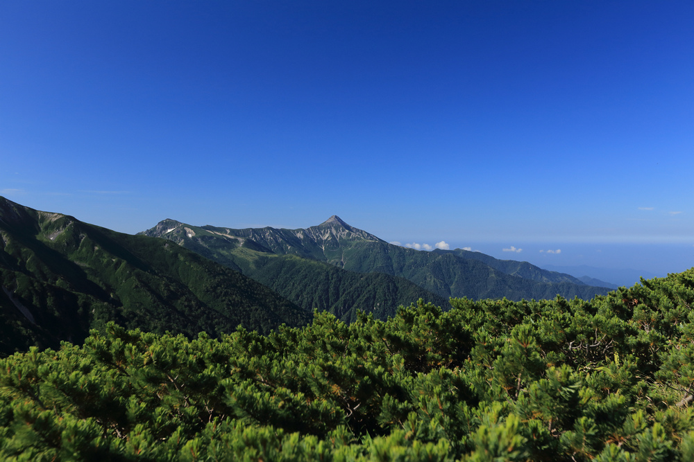 IMG_8683.jpg