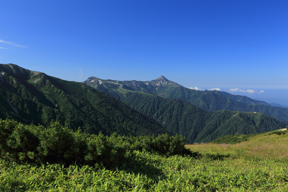 IMG_8689.jpg