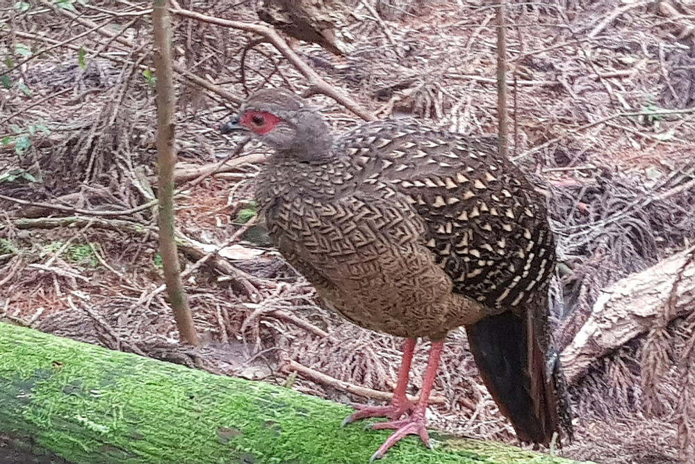 20201017_121336.jpg