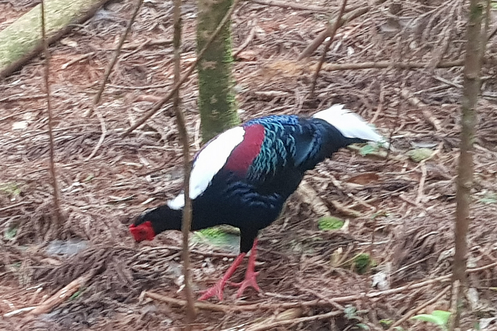 20201017_121333.jpg
