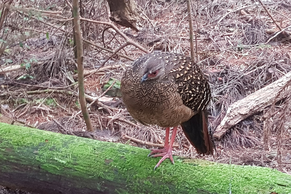 20201017_121351.jpg