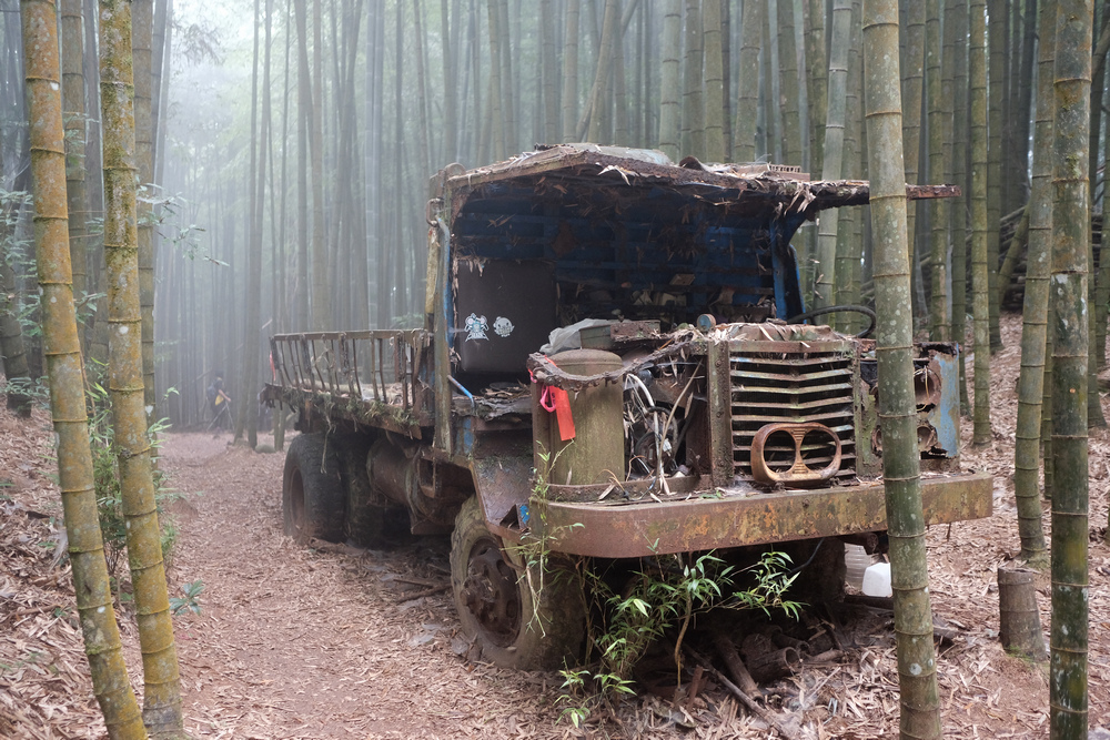 DSCF4391.jpg