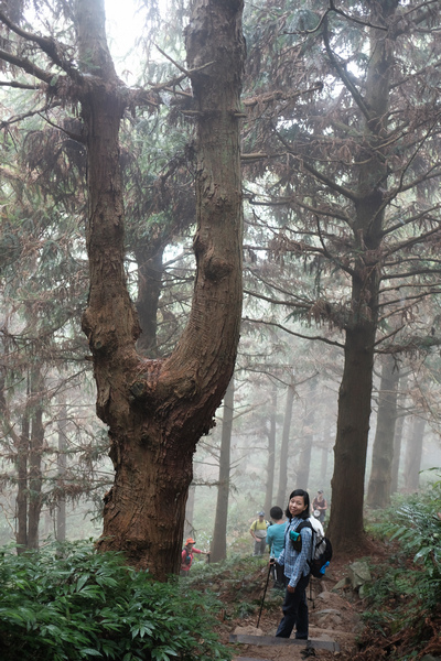 DSCF4414.jpg