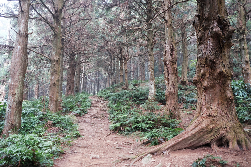 DSCF4426.jpg