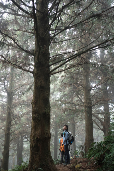 DSCF4418.jpg