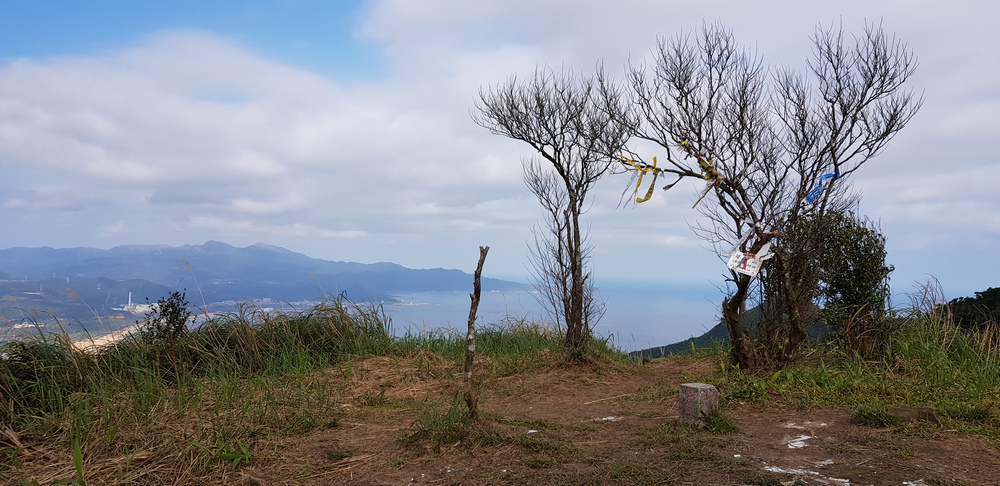 DSCF3029-6.jpg