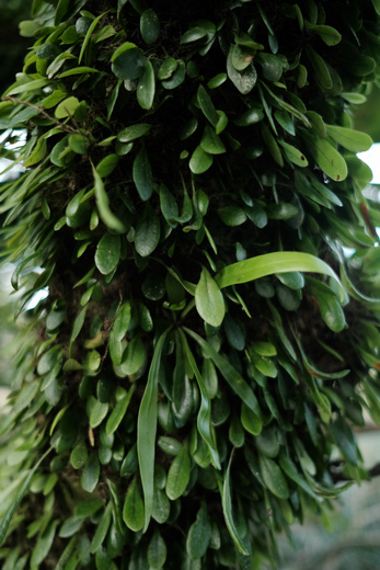 DSCF3037.jpg