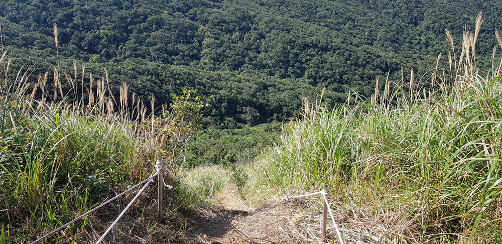 DSCF3045-5.jpg