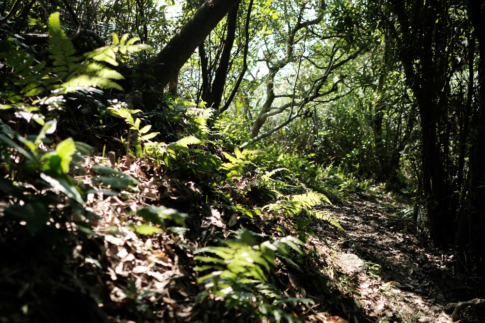 DSCF3056.jpg