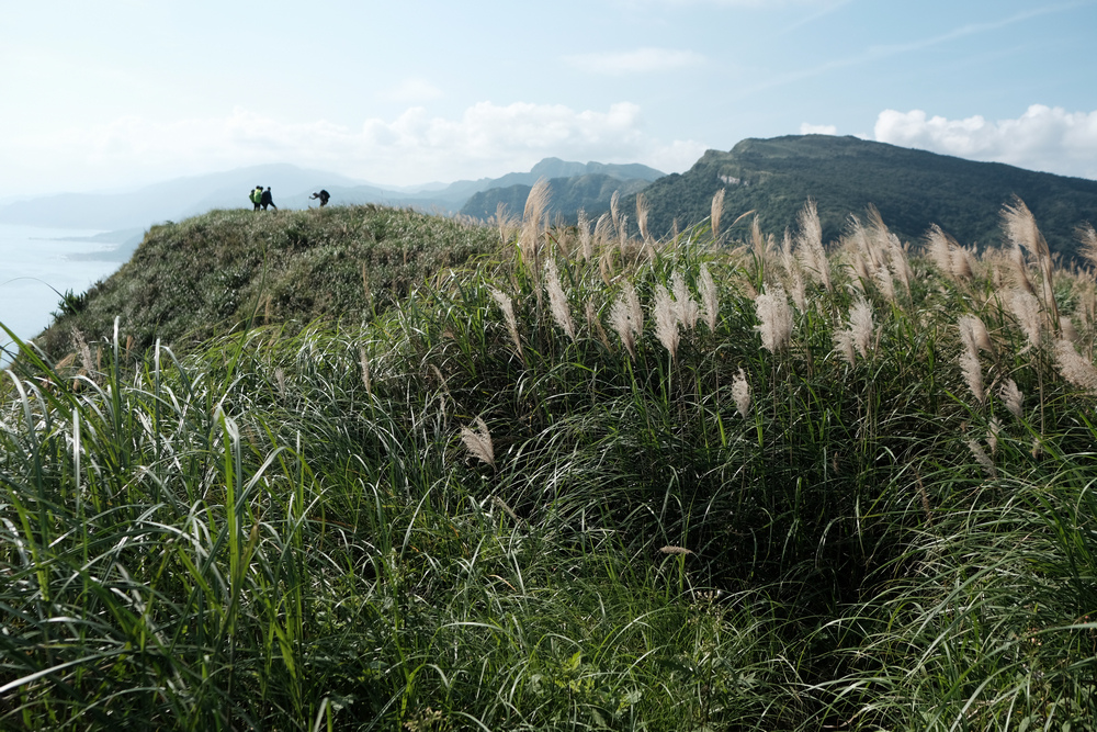 DSCF3081.jpg