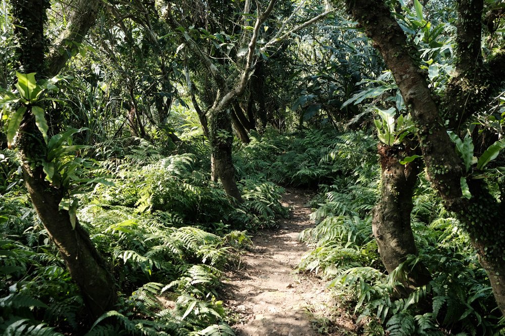 DSCF3089.jpg