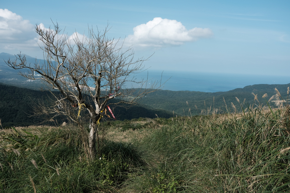 DSCF3084.jpg