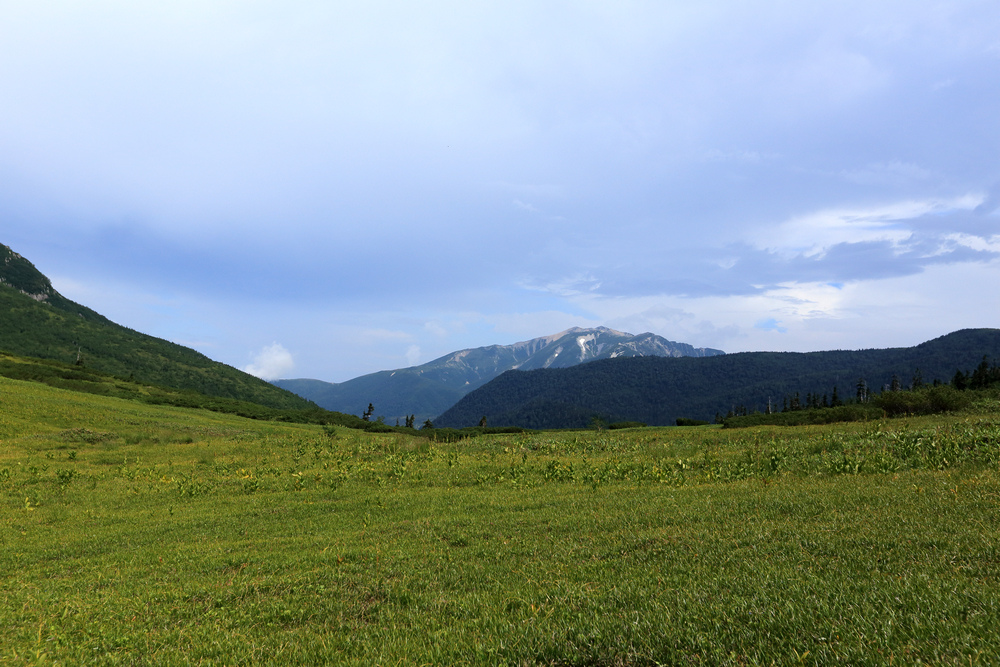 IMG_8709.jpg
