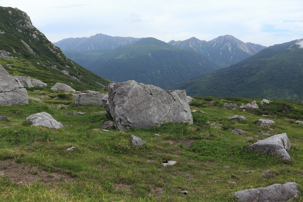 IMG_8739.jpg