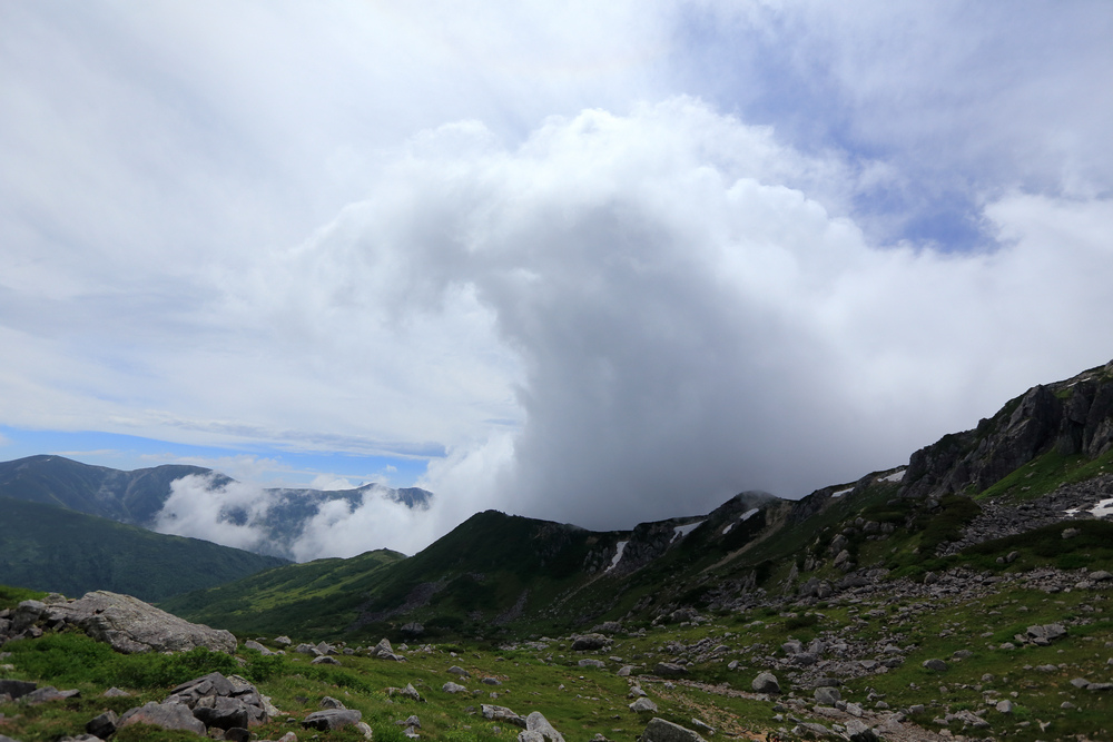 IMG_8751.jpg