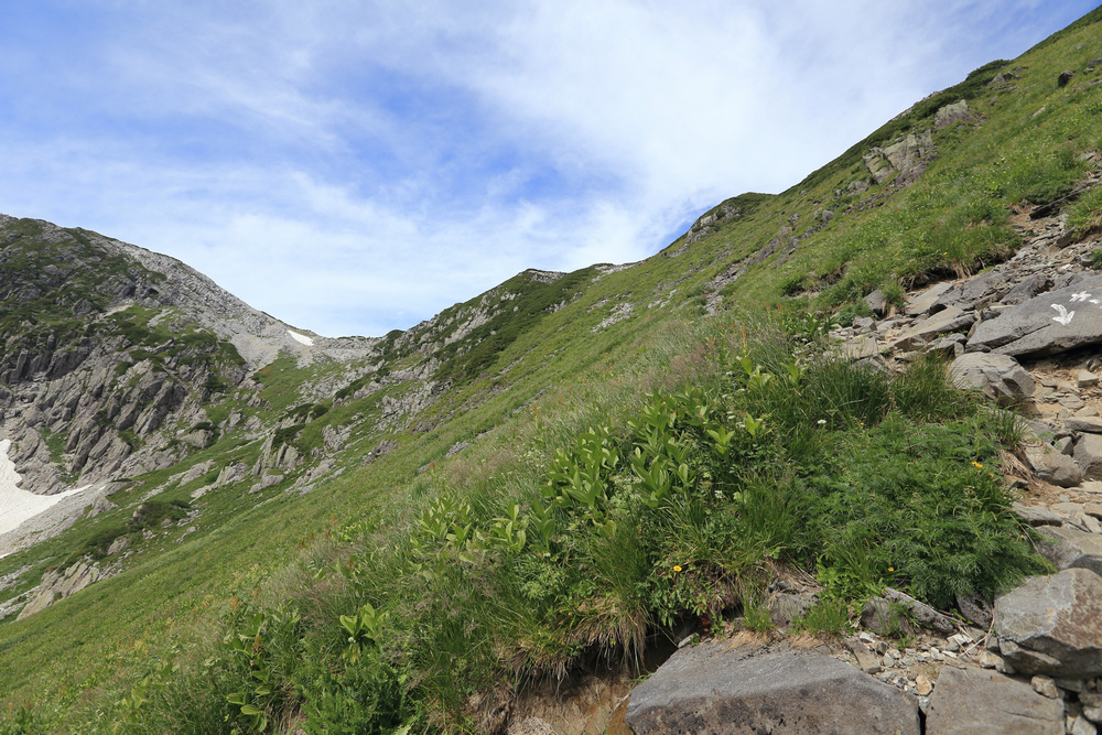 IMG_8764.jpg