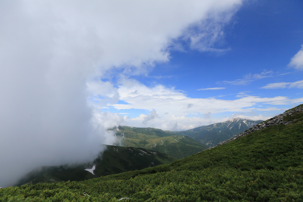 IMG_8775.jpg