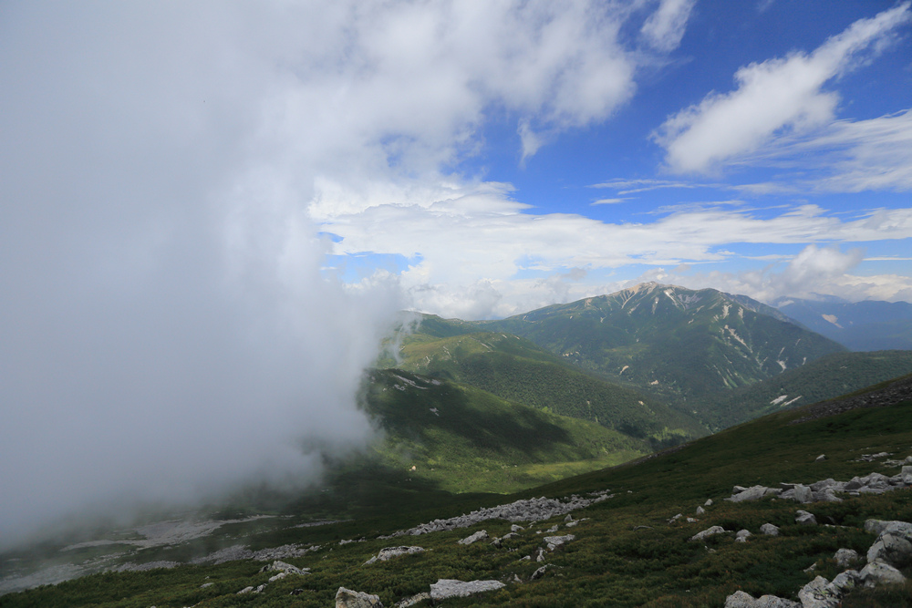 IMG_8779.jpg