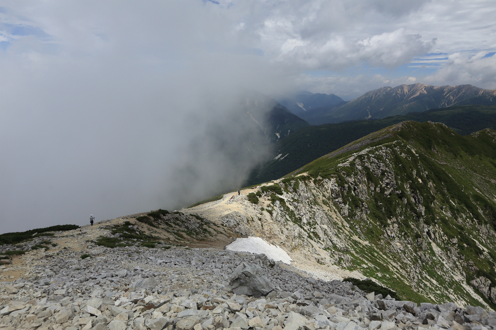 IMG_8795.jpg