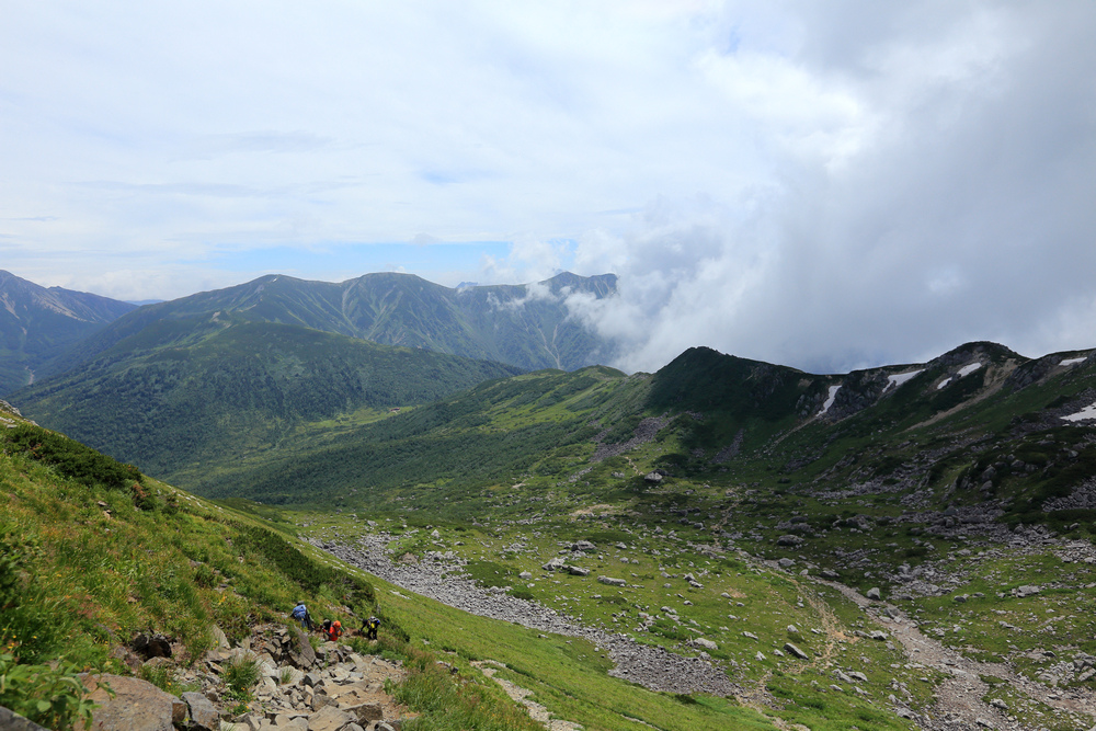 IMG_8769.jpg