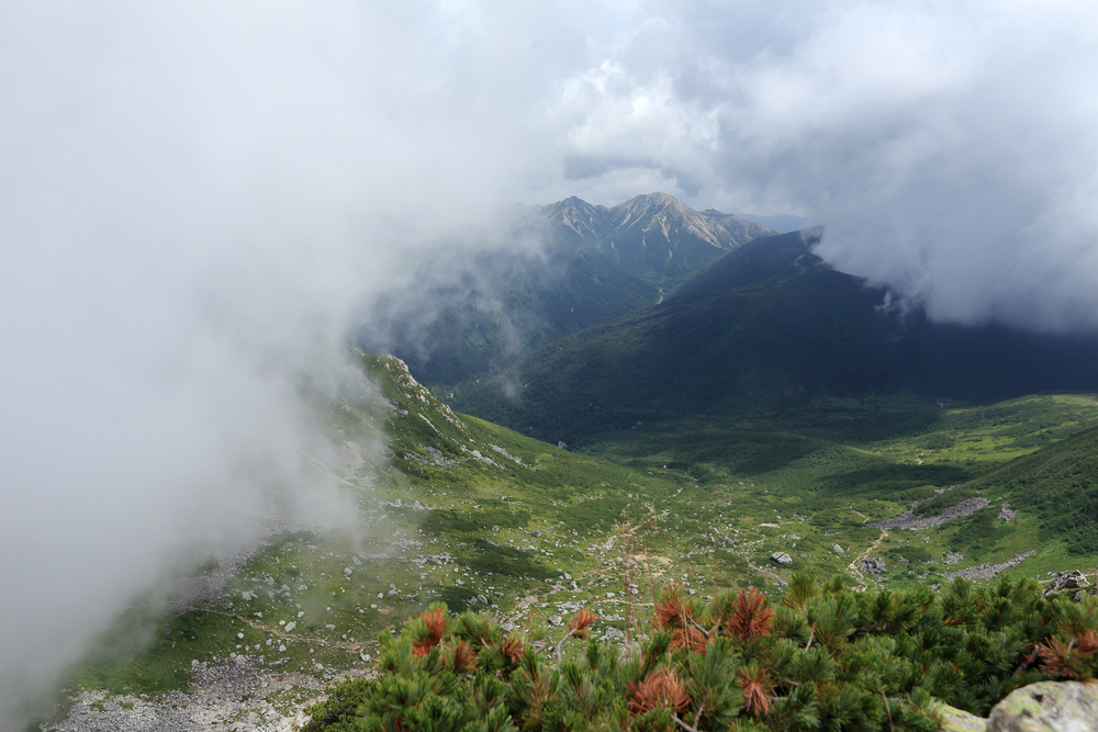 IMG_8836.jpg