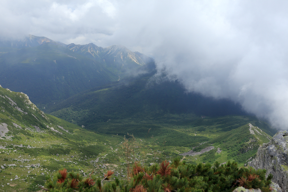 IMG_8834.jpg