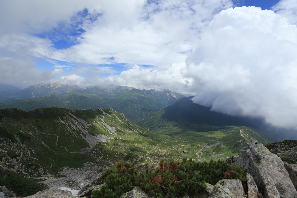IMG_8841.jpg