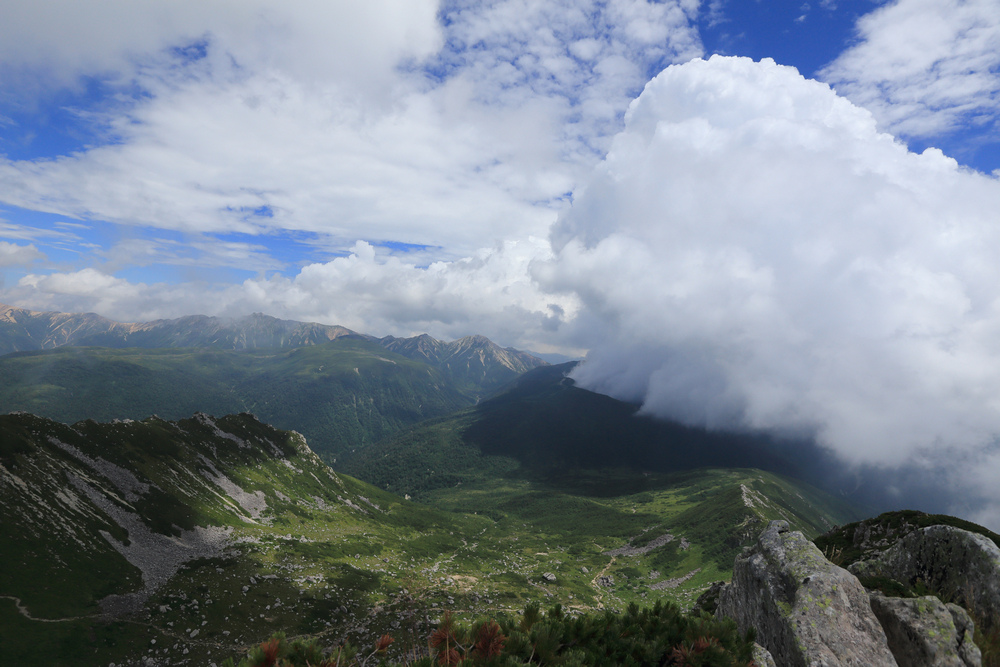 IMG_8842.jpg