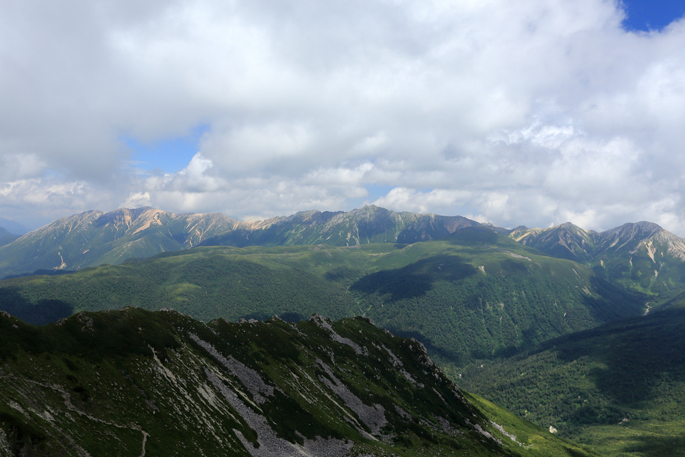 IMG_8865.jpg