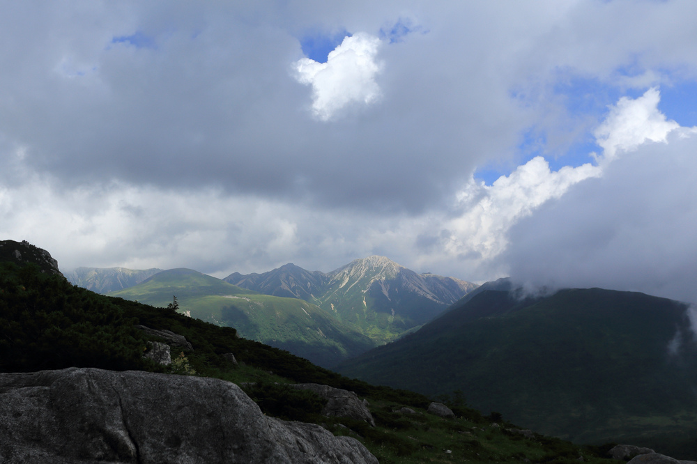 IMG_8887.jpg