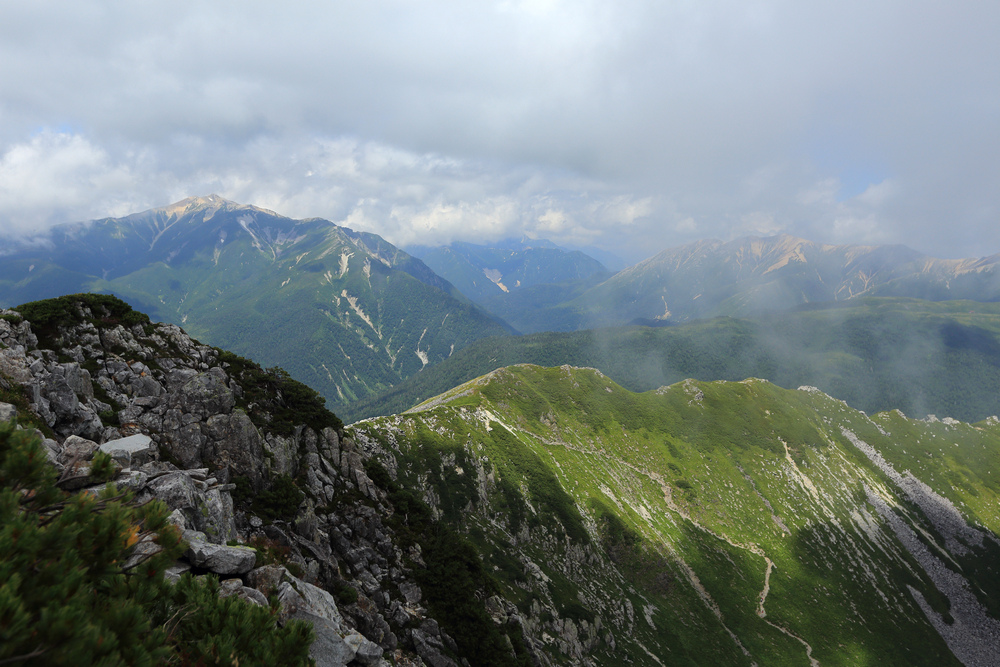 IMG_8859.jpg